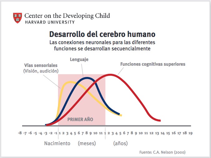 Curva de Desarrollo Humano - Instituto de Neuroprotección Infantil - INPI